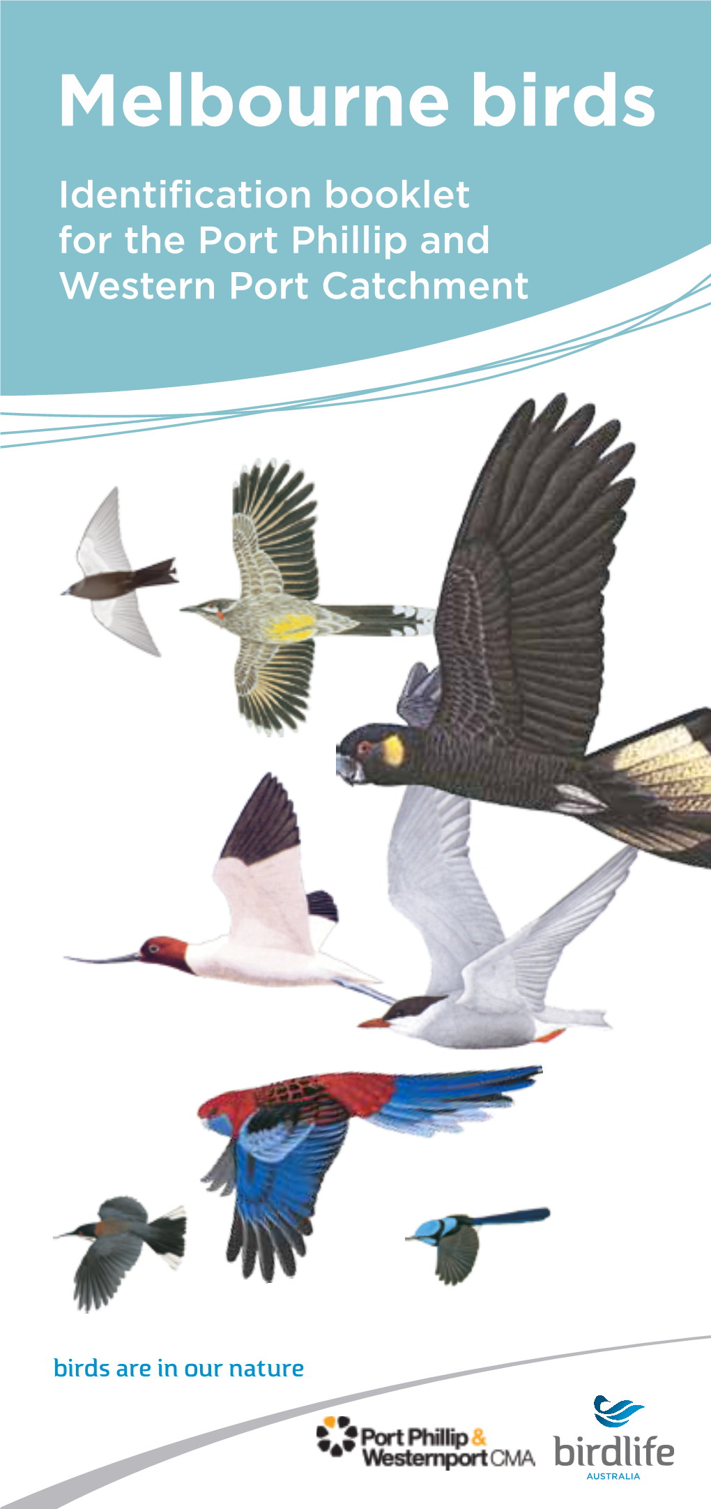 Melbourne Birds Identification Booklet for the Port Phillip and Western Port Catchment