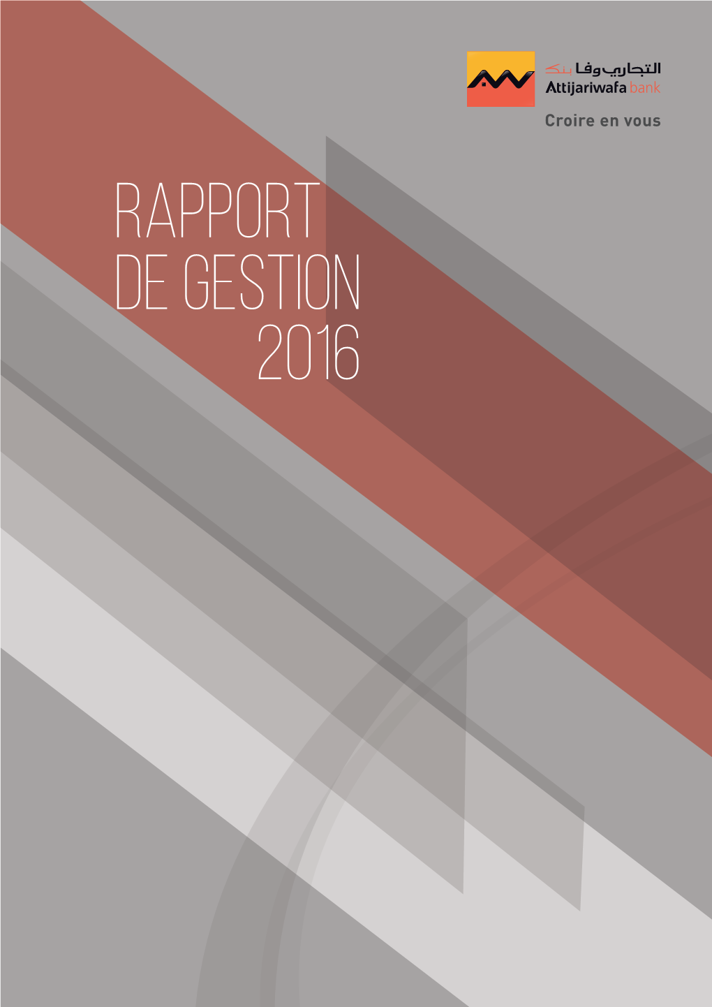 Rapport De Gestion 2016