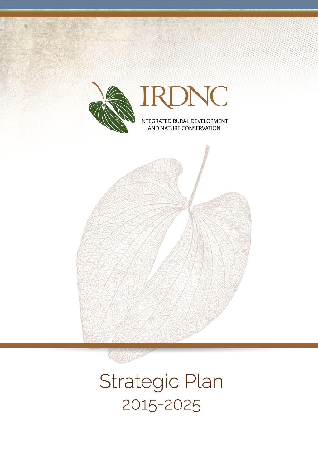 Strategic Plan 2015-2025