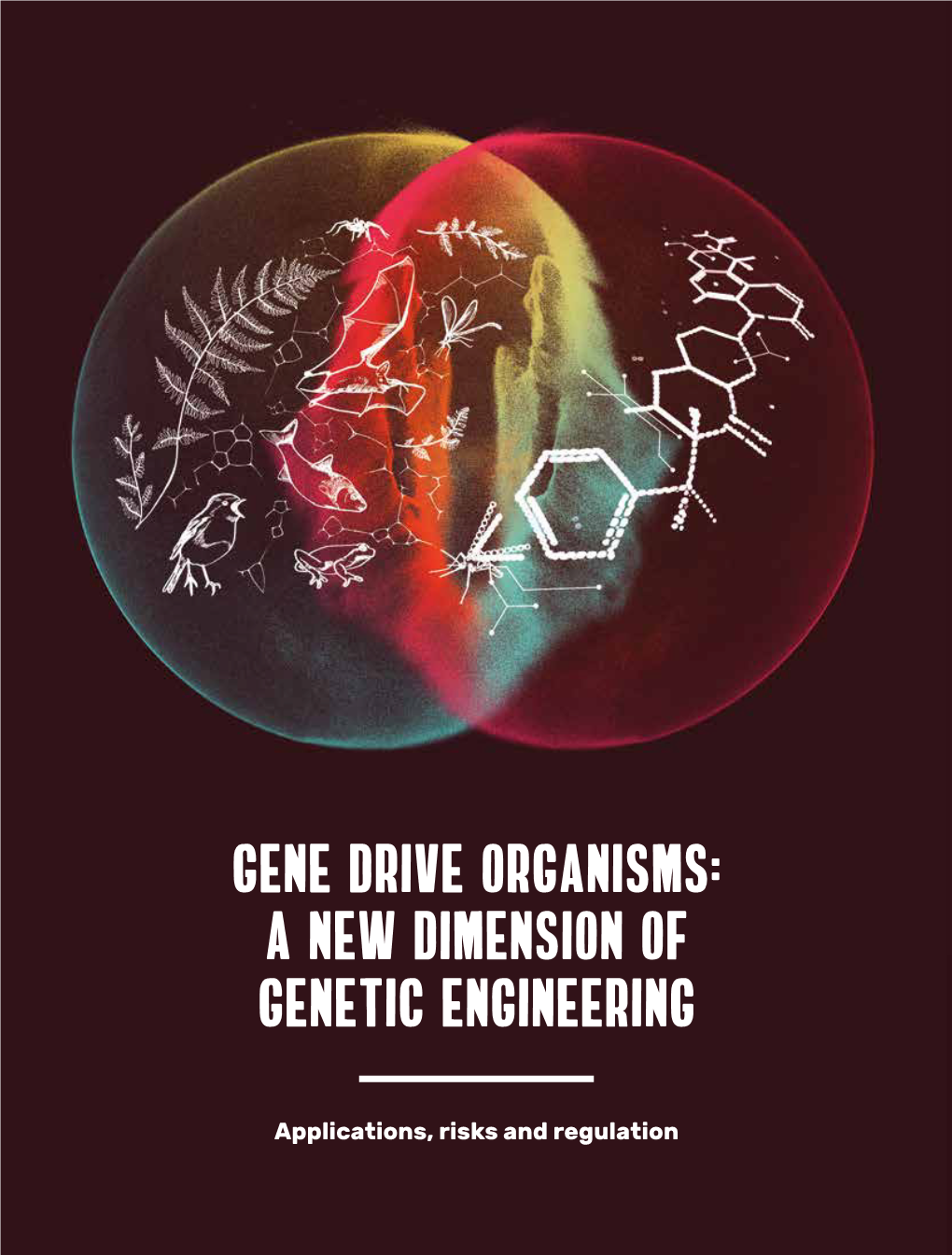 Gene Drive Organisms: a New Dimension of Genetic Engineering