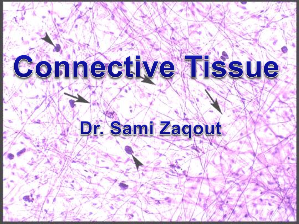 Connective Tissue