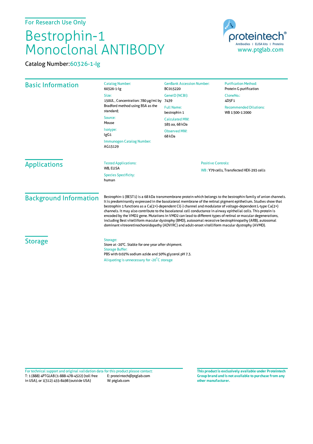 Bestrophin-1 Monoclonal ANTIBODY Catalog Number:60326-1-Ig