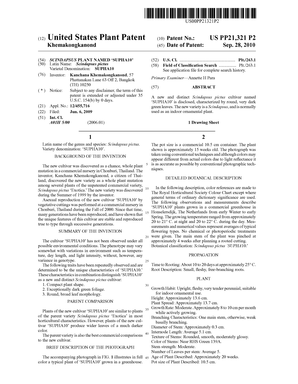 (12) United States Plant Patent (10) Patent No.: US PP21,321 P2 Khemakongkanond (45) Date of Patent: Sep