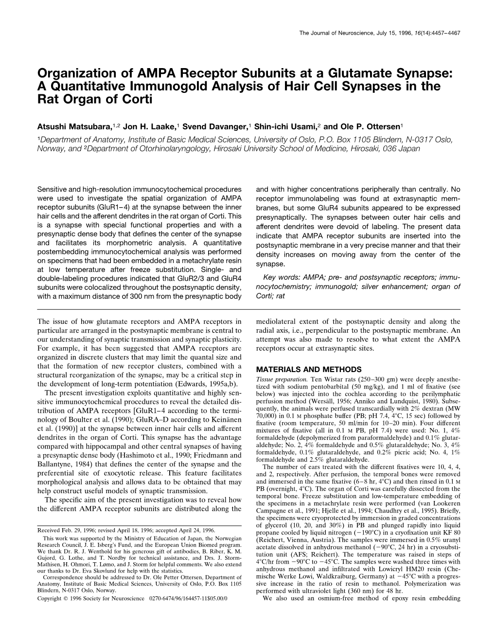 Organization of AMPA Receptor Subunits at a Glutamate Synapse: a Quantitative Immunogold Analysis of Hair Cell Synapses in the Rat Organ of Corti