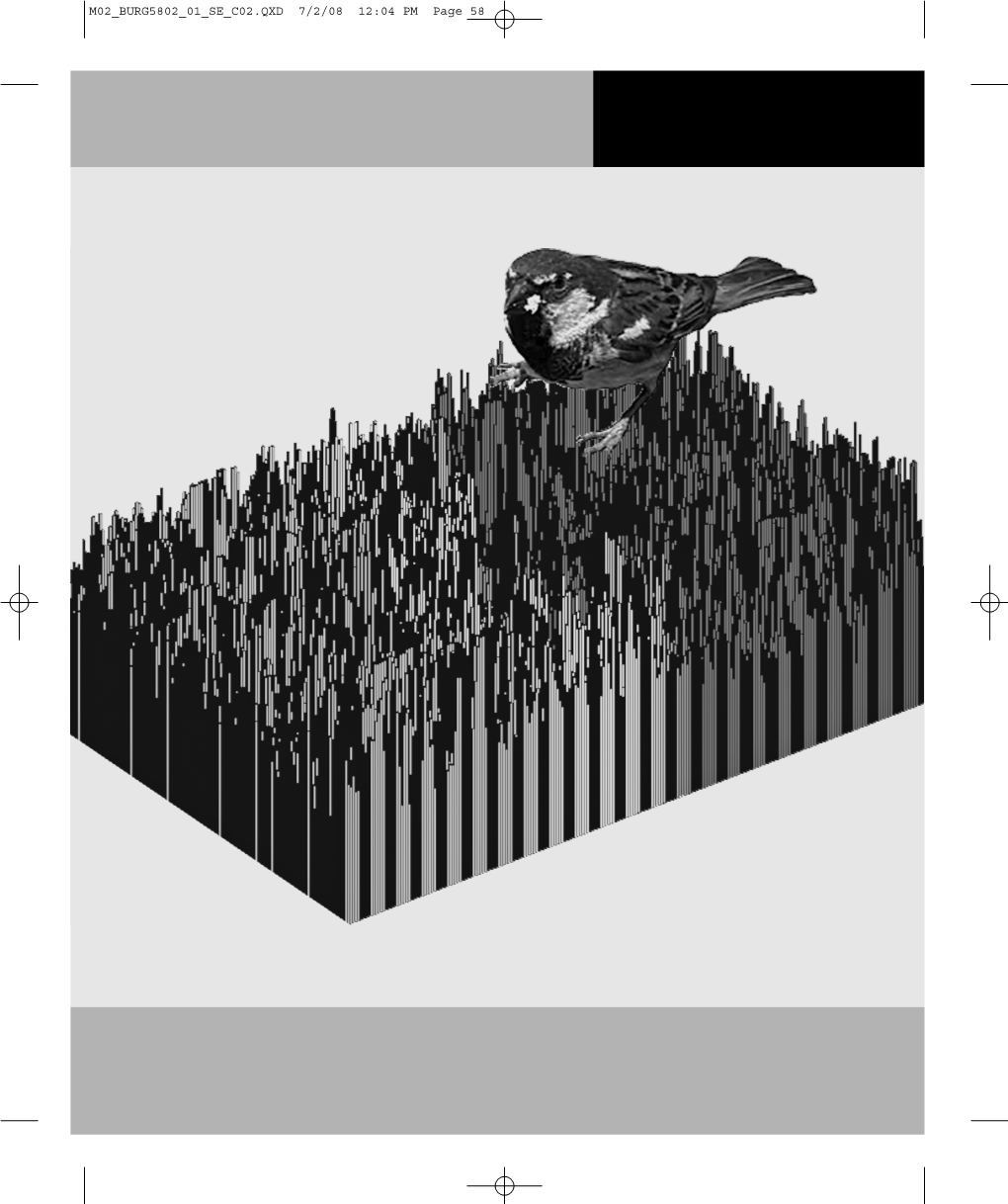 CHAPTER 2 • Understand the Difference Between Bitmap and Vector Graphic Representations of Image Data