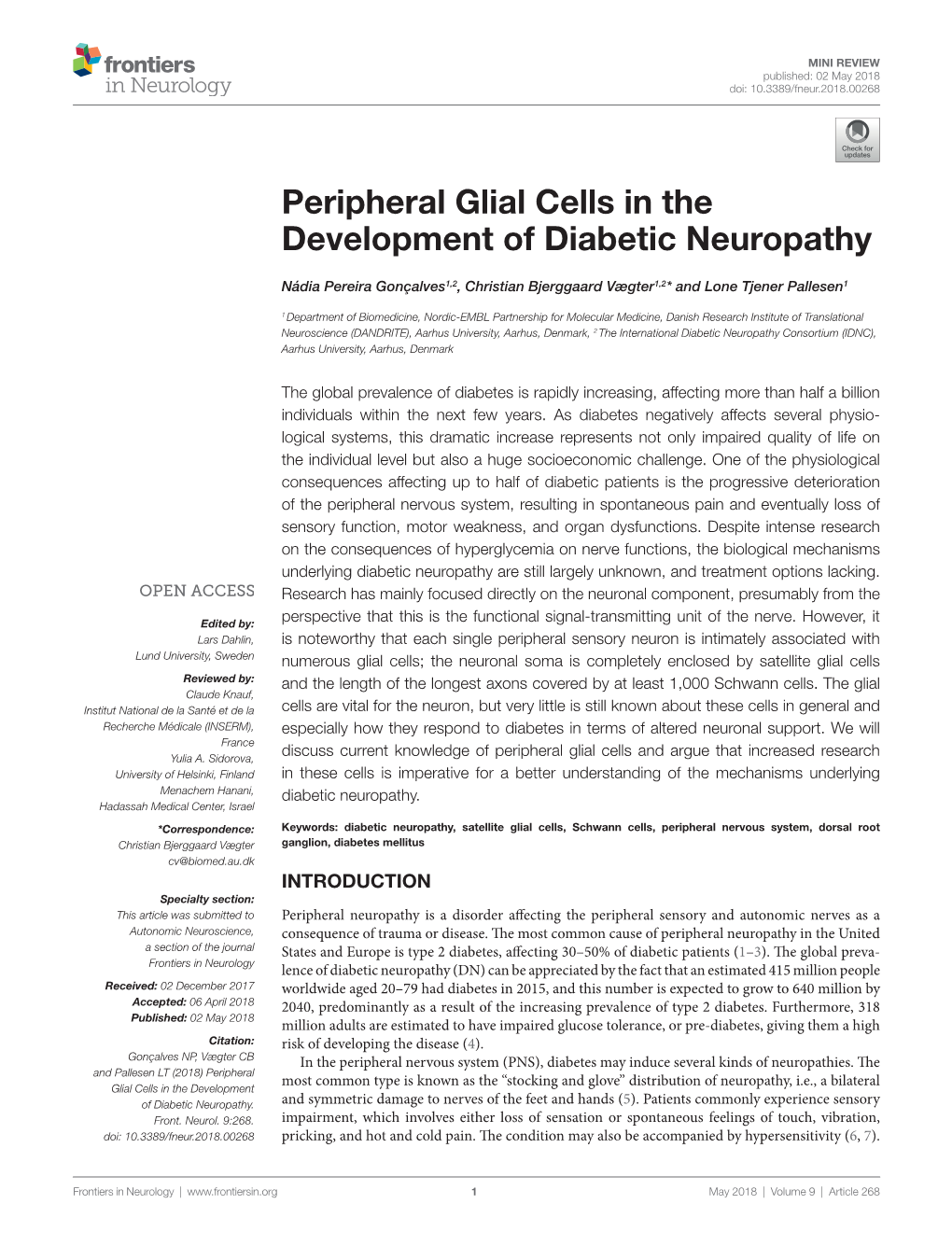 Peripheral Glial Cells in the Development of Diabetic Neuropathy