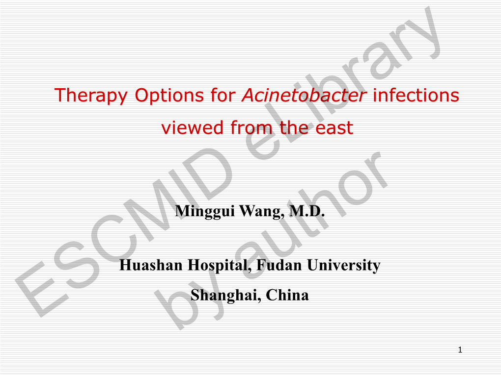 Therapy Options for Acinetobacter Infections Viewed from the East