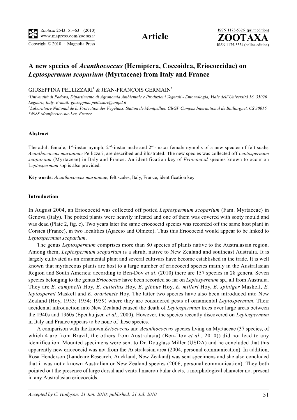 Acanthococcus Mariannae Pellizzari, Are Described and Illustrated