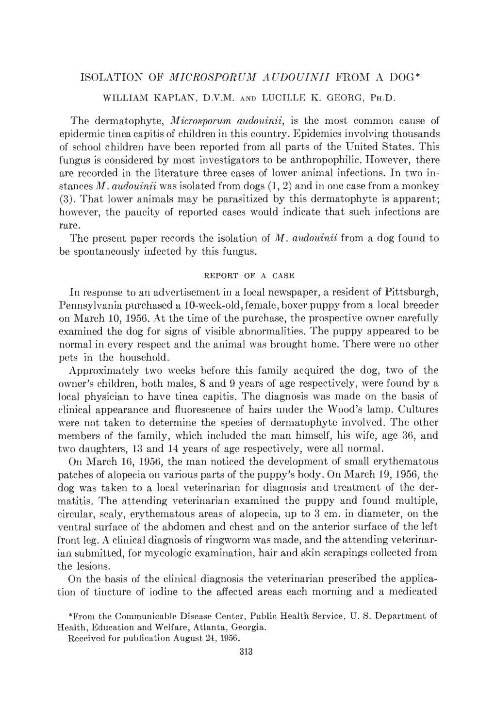 Isolation of Microsporum Audouinii from A