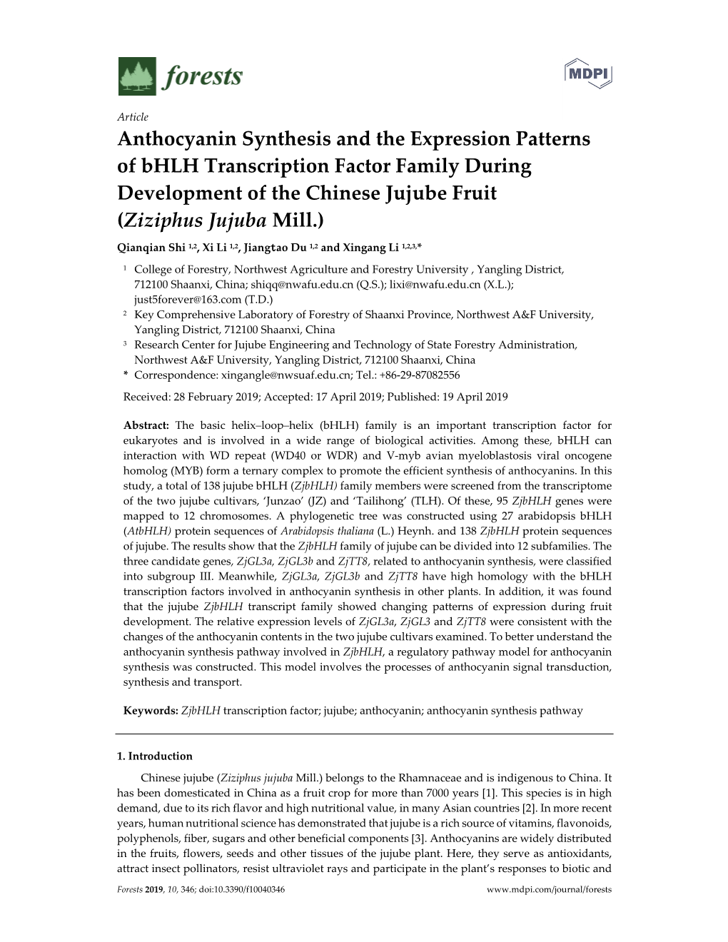 Anthocyanin Synthesis and the Expression Patterns of Bhlh Transcription Factor Family During Development of the Chinese Jujube Fruit (Ziziphus Jujuba Mill.)