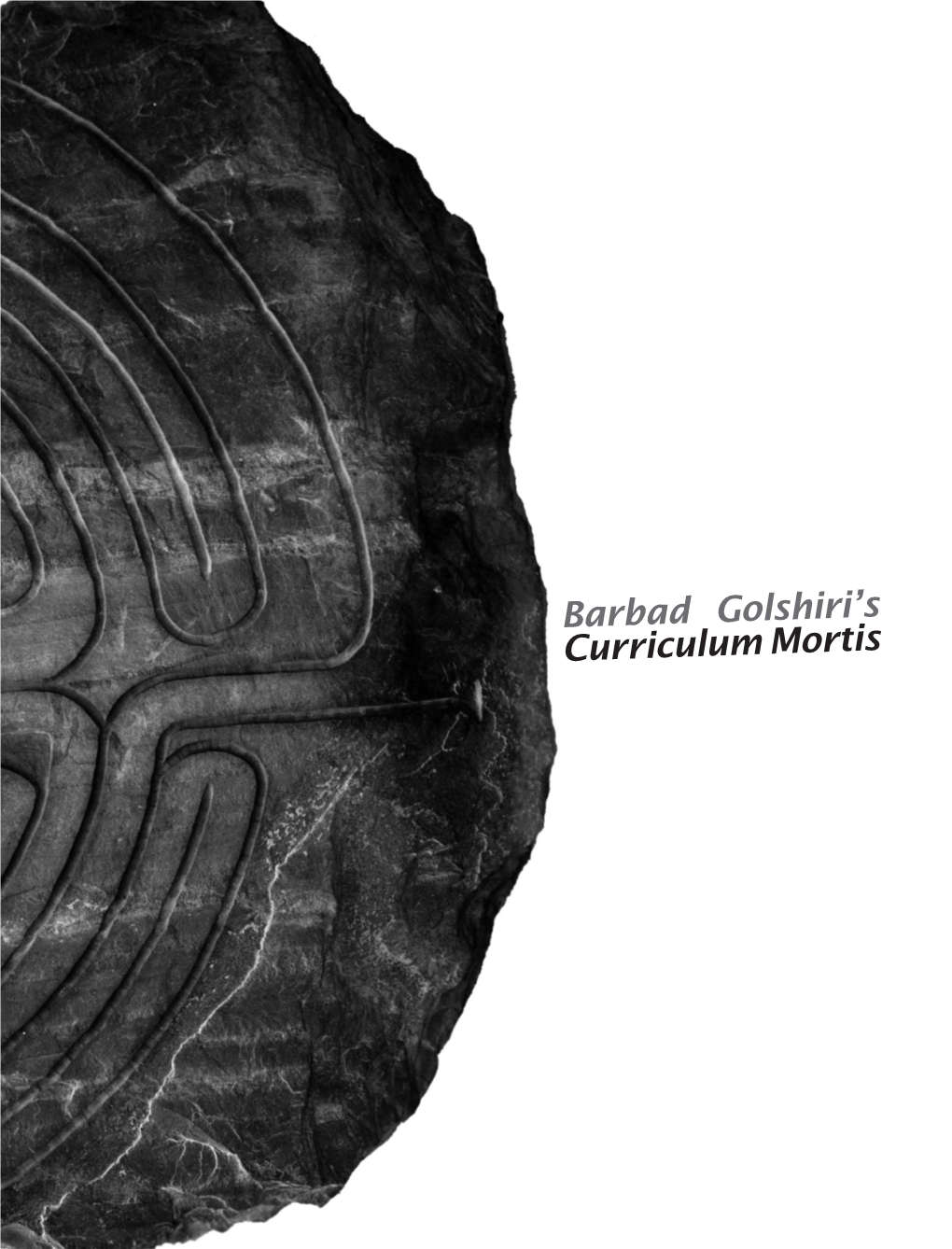Barbad Golshiri's Curriculum Mortis