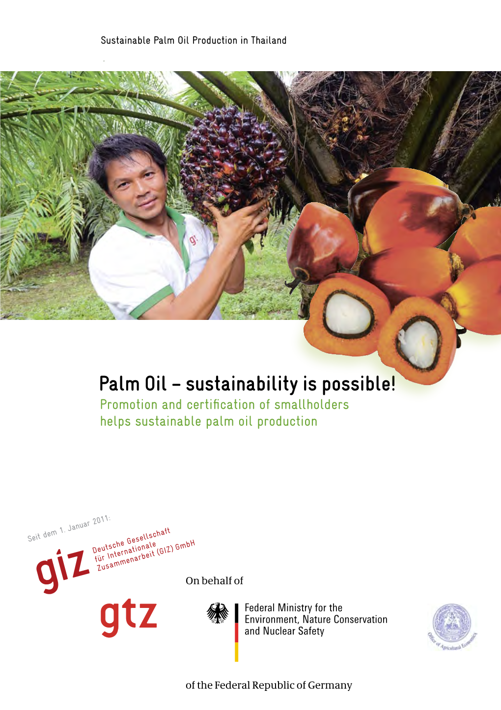 Palm Oil – Sustainability Is Possible!