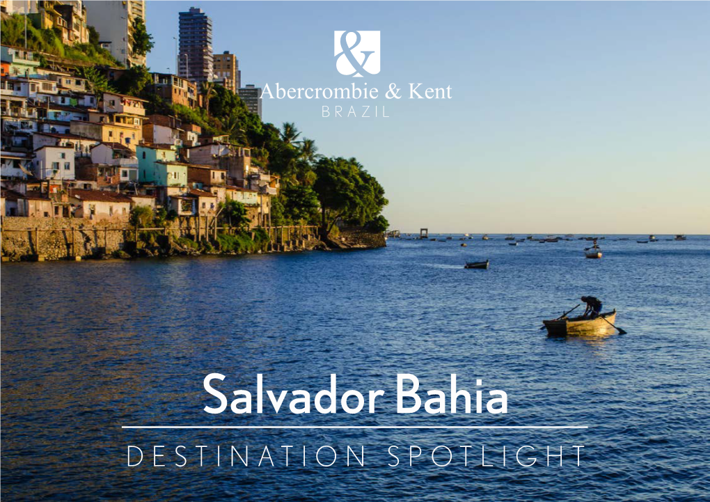 Brazil Destination Spotlight