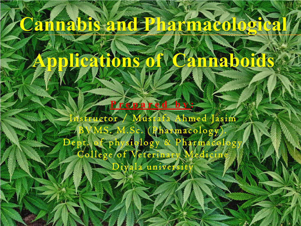 Cannabis and Pharmacological Applications of Cannaboids