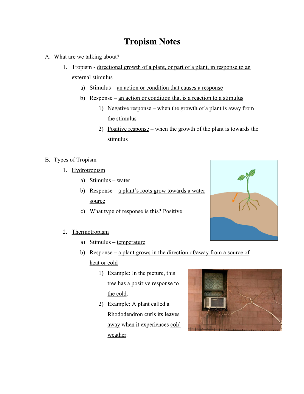 Tropism Notes