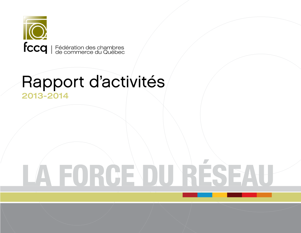 Rapport D'activités