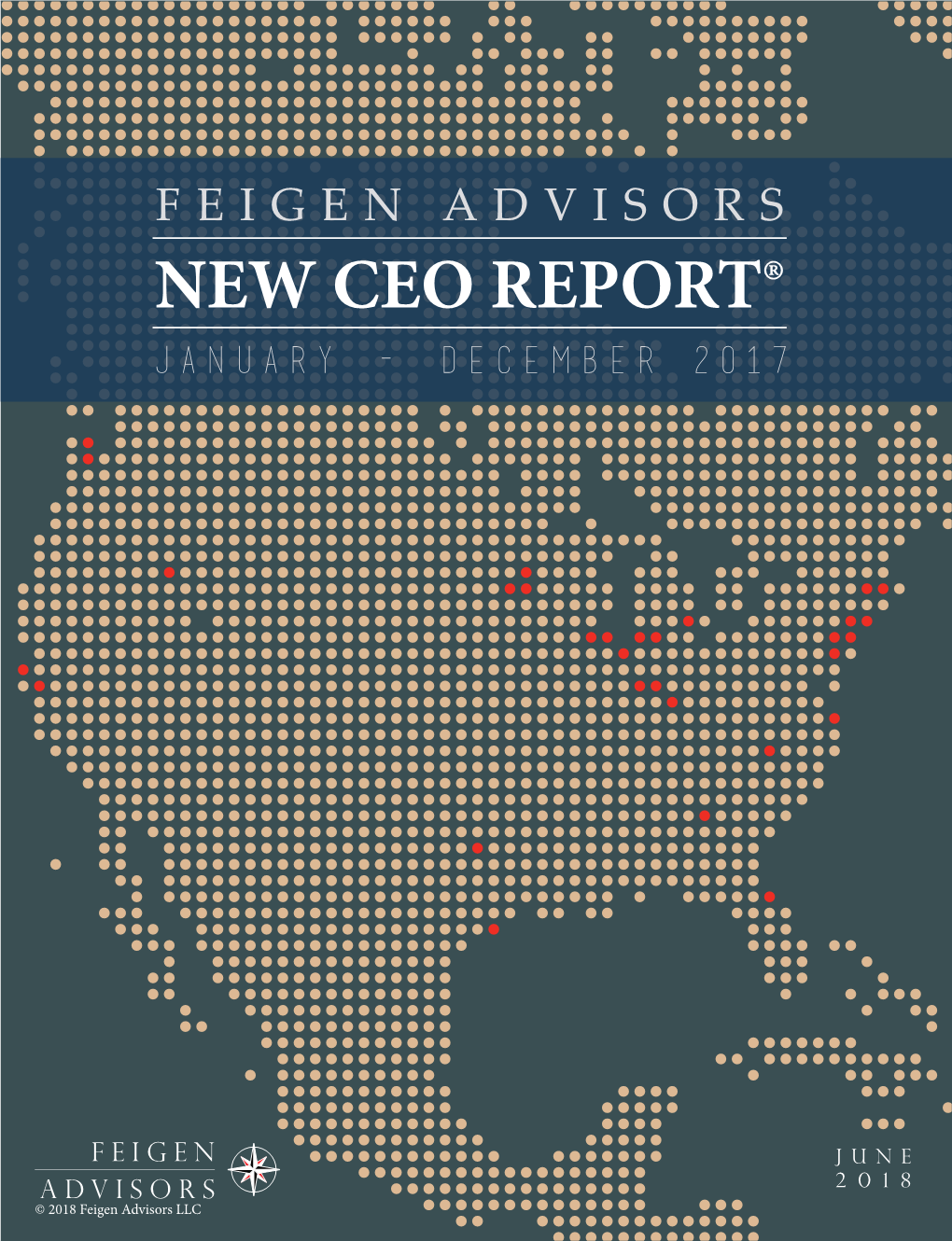 The 2017 Feigen Advisors New CEO Report