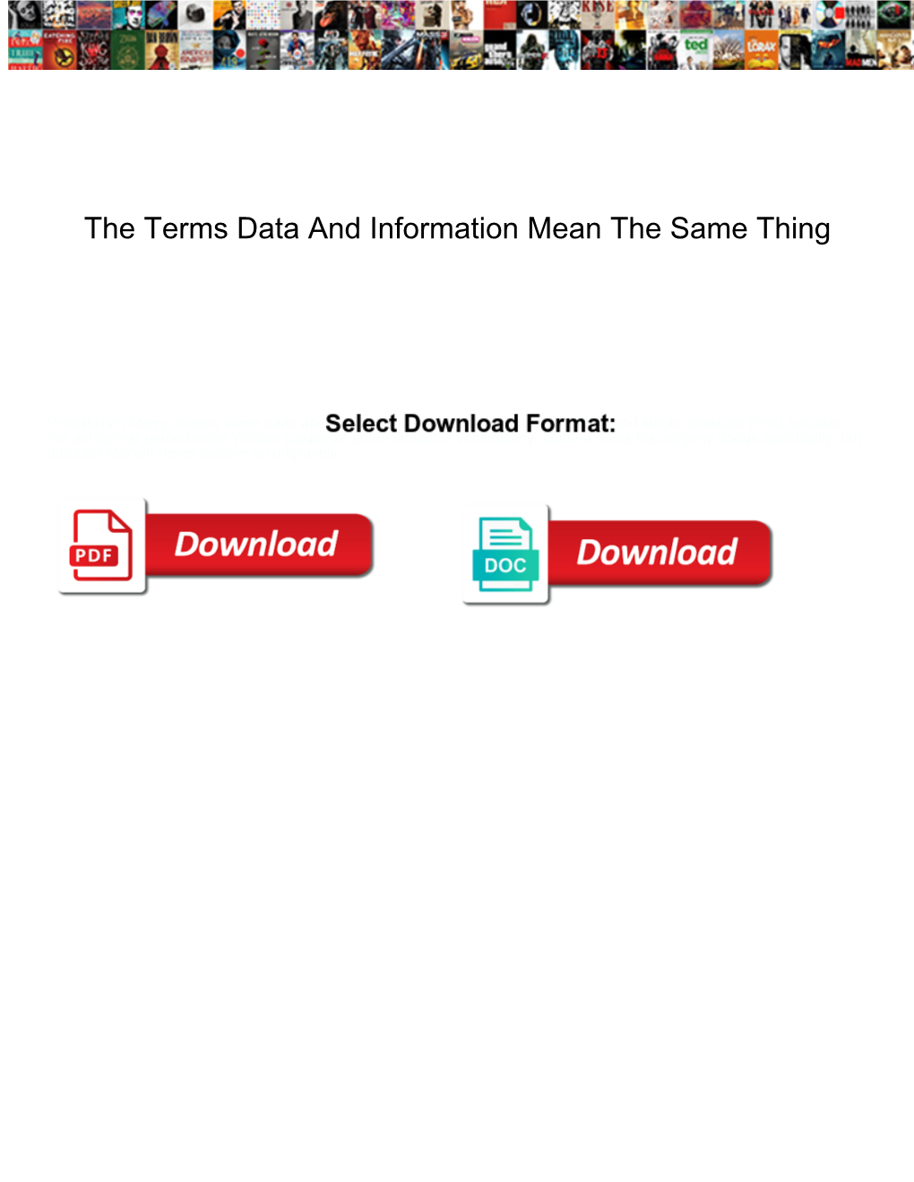 The Terms Data and Information Mean the Same Thing