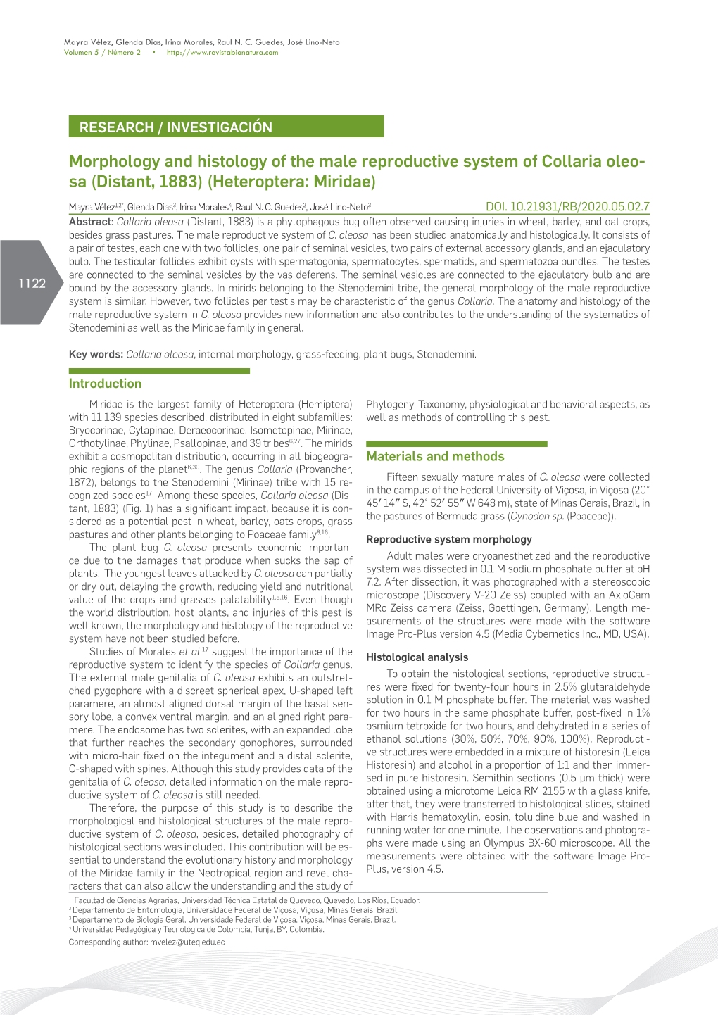 Morphology and Histology of the Male Reproductive System of Collaria Oleo- Sa (Distant, 1883) (Heteroptera: Miridae)