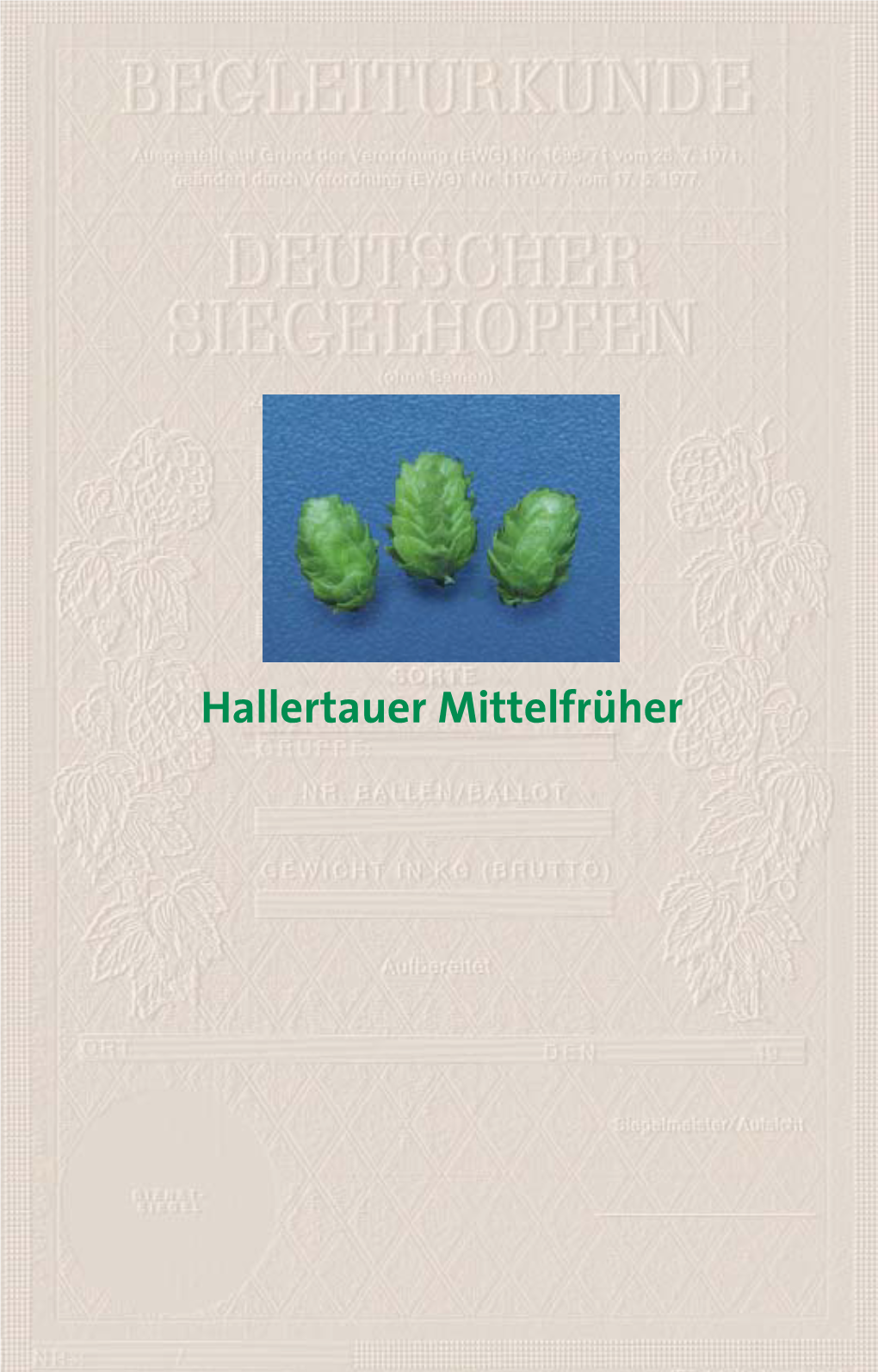 Hallertauer Mittelfrüher Characteristics