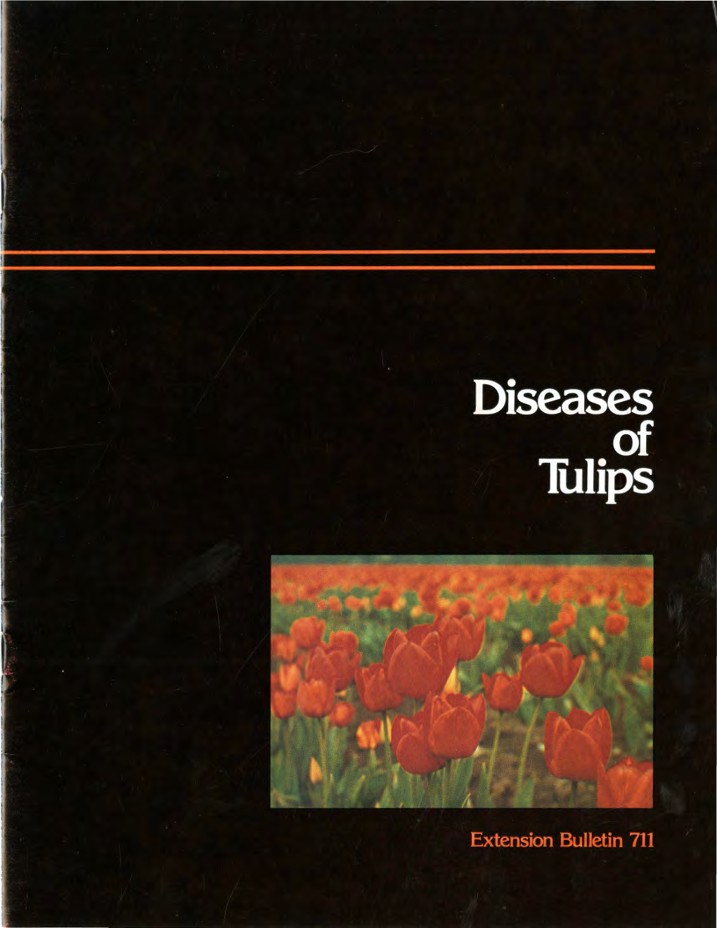 Diseases of Tulips