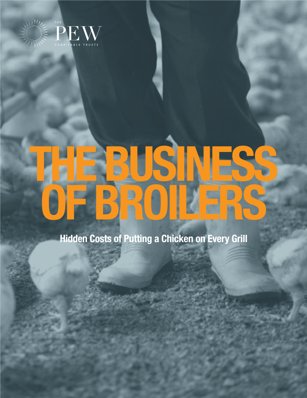 THE BUSINESS of BROILERS Hidden Costs of Putting a Chicken on Every Grill