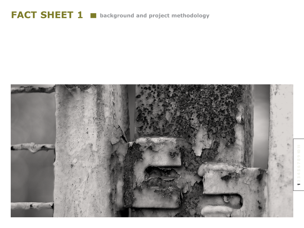 FACT SHEET 1 Background and Project Methodology