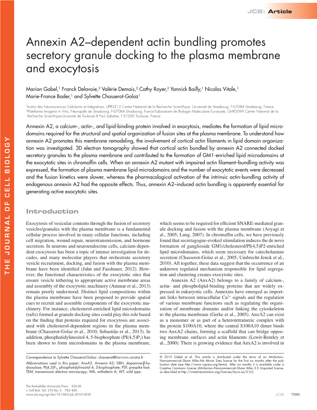 Annexin A2–Dependent Actin Bundling Promotes Secretory Granule Docking to the Plasma Membrane and Exocytosis