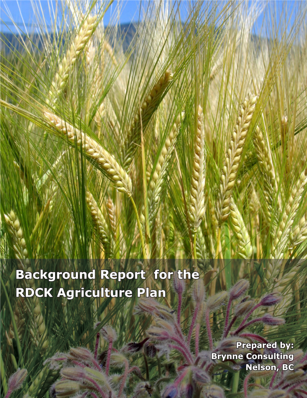 Background Report for the RDCK Agriculture Plan