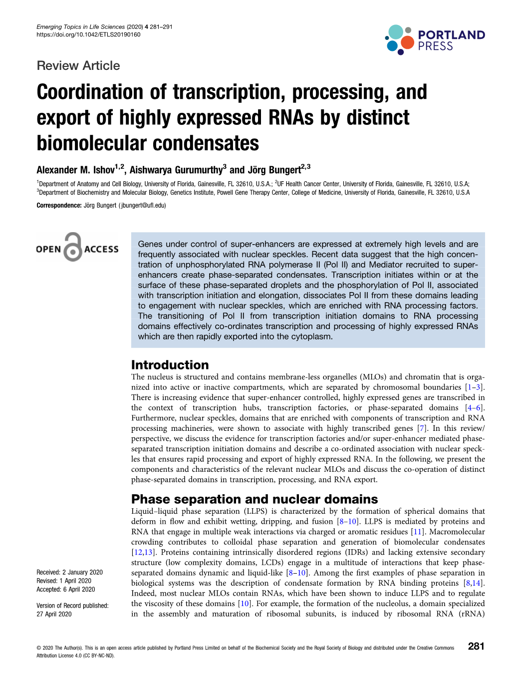 Coordination of Transcription, Processing, and Export of Highly Expressed Rnas by Distinct Biomolecular Condensates