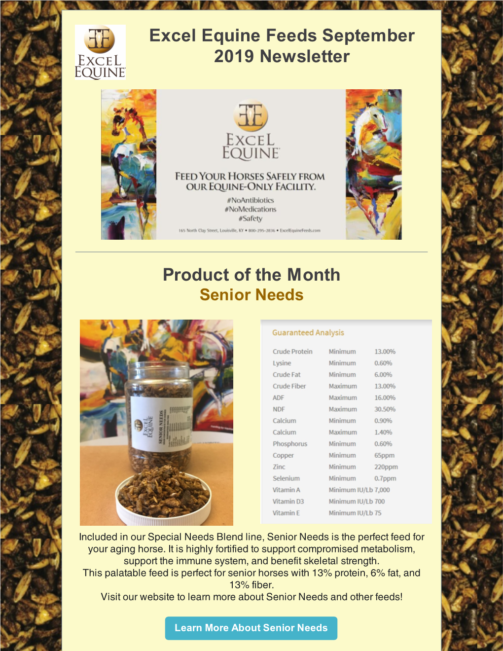 Excel Equine Feeds September 2019 Newsletter Product of the Month