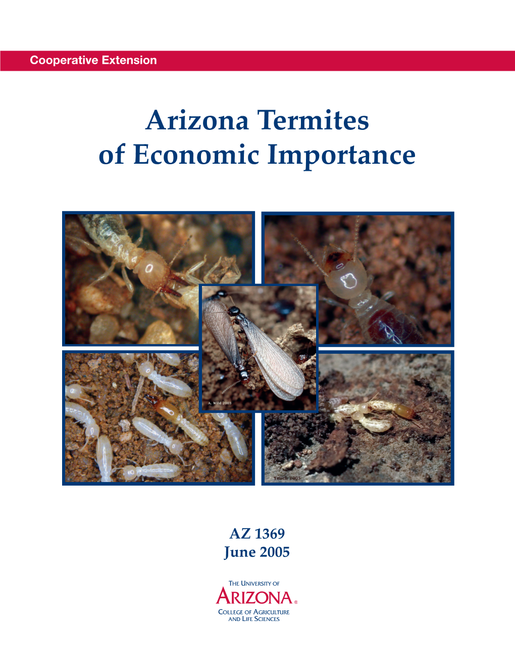 Arizona Termites of Economic Importance