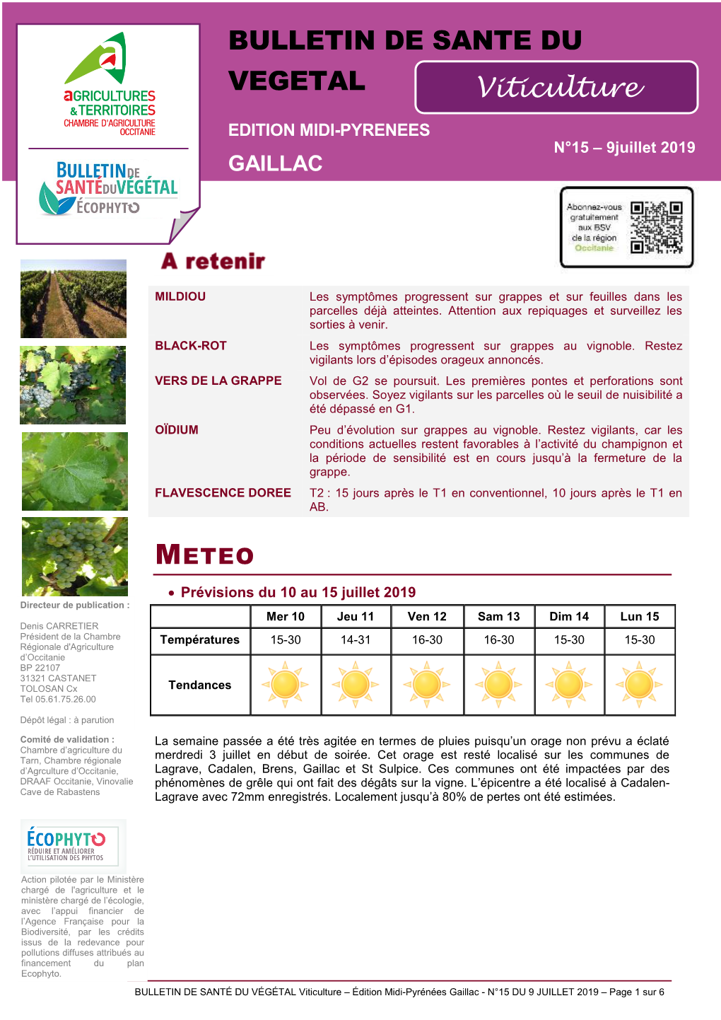 BULLETIN DE SANTE DU VEGETAL Viticulture