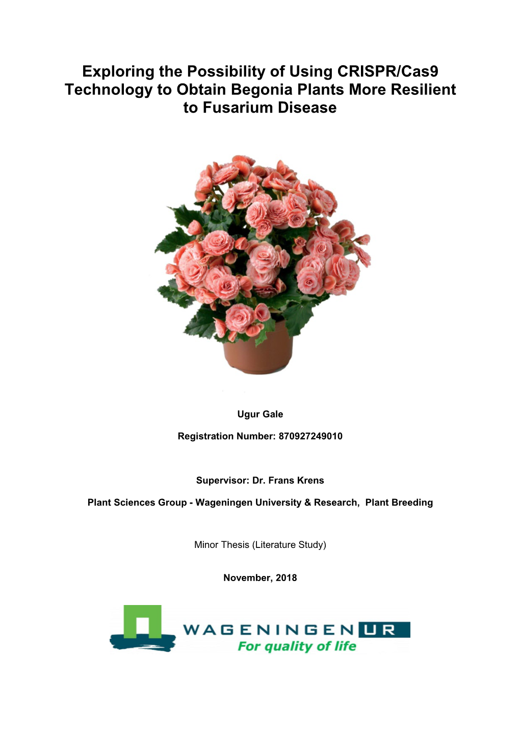 Exploring the Possibility of Using CRISPR/Cas9 Technology to Obtain Begonia Plants More Resilient to Fusarium Disease