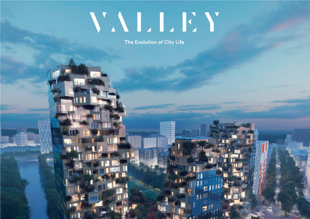 The Evolution of City Life VALLEY — the EVOLUTION of CITY LIFE P