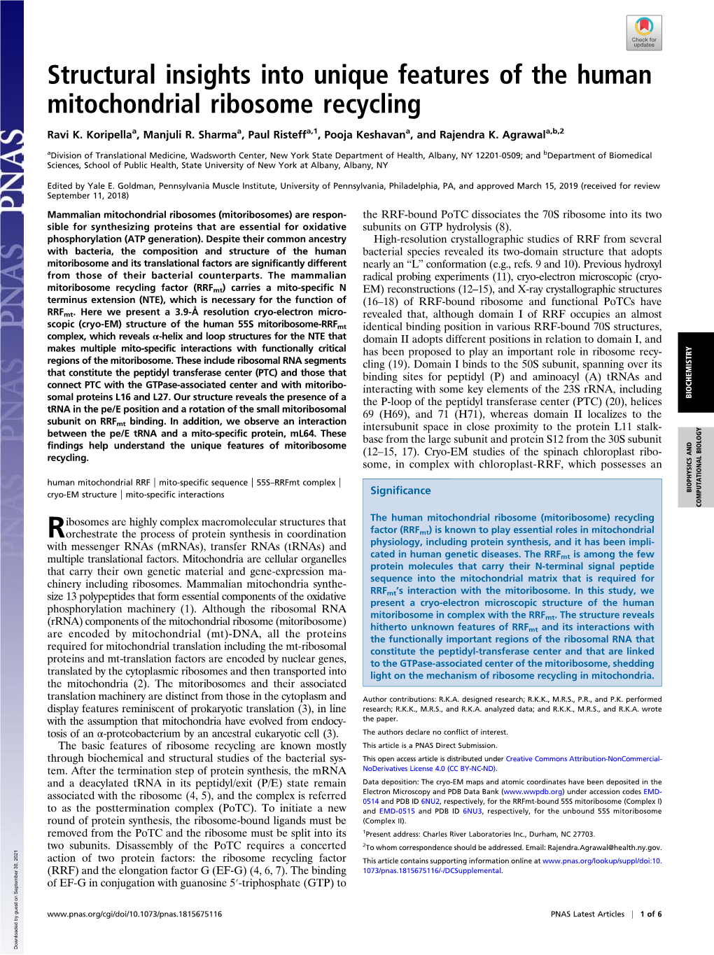 Structural Insights Into Unique Features of the Human Mitochondrial Ribosome Recycling