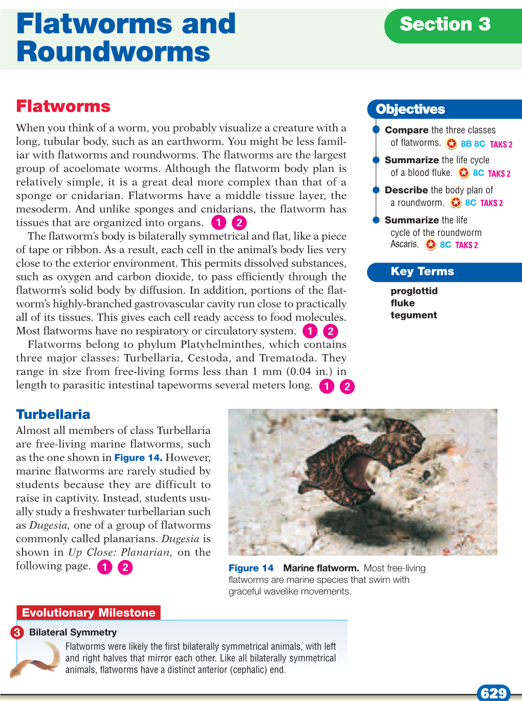 Flatworms and Roundworms