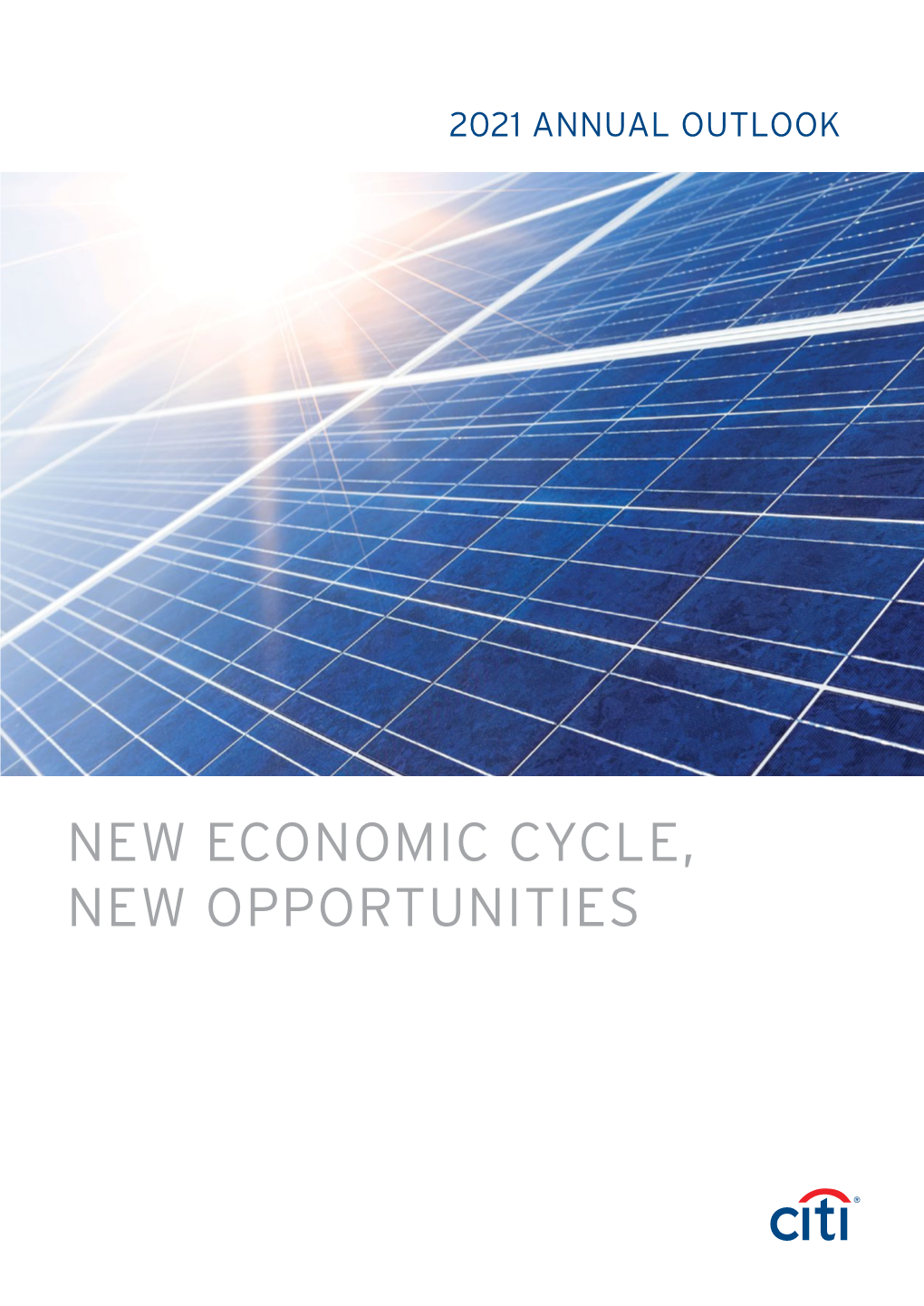 NEW ECONOMIC CYCLE, NEW OPPORTUNITIES Citi Priority 2021 ANNUAL OUTLOOK CONTENTS