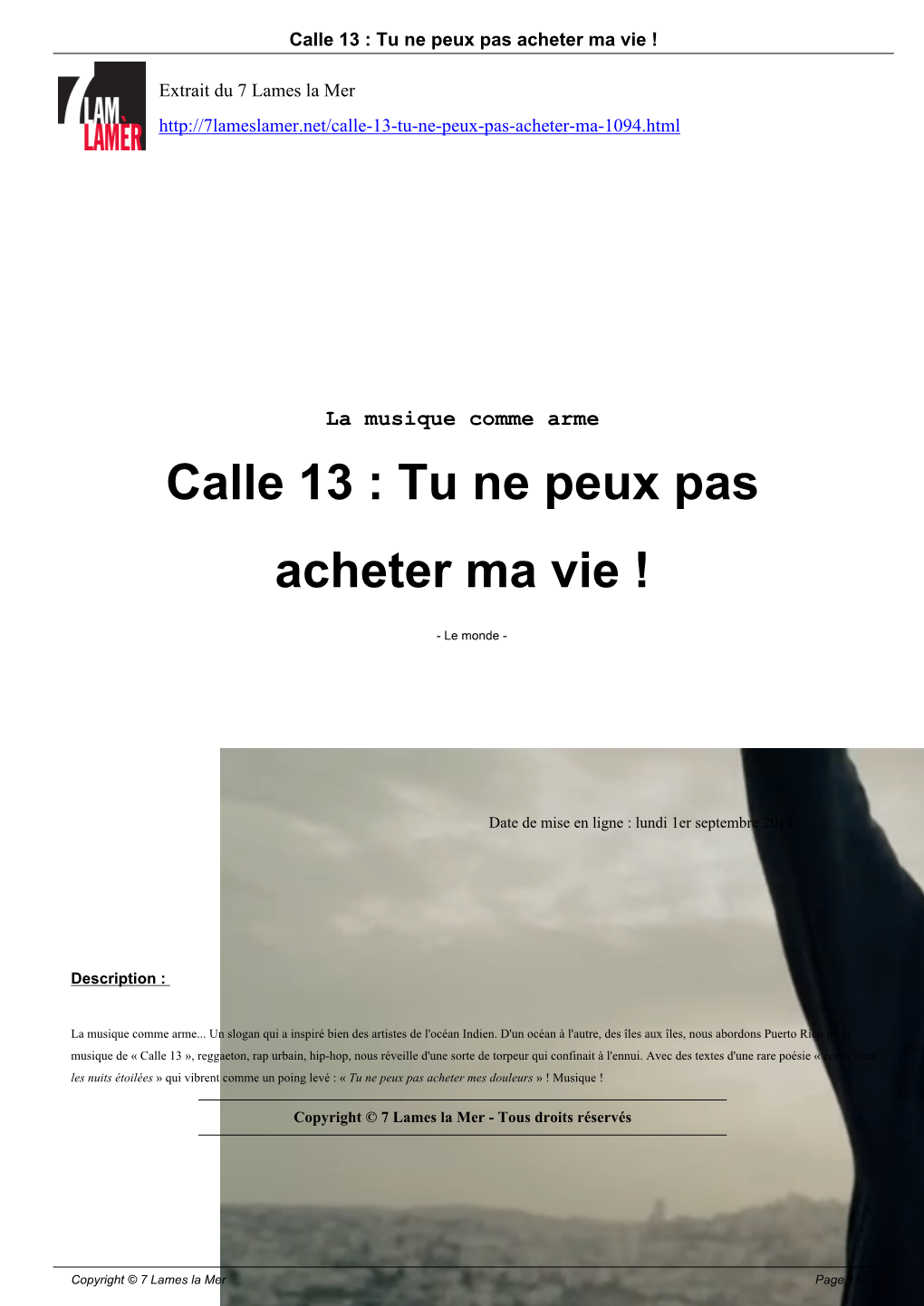 Calle 13 : Tu Ne Peux Pas Acheter Ma Vie !