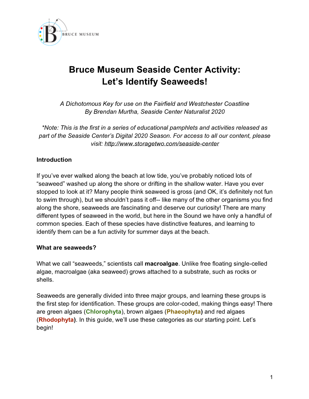 Bruce Museum Seaside Center Activity: Let's Identify Seaweeds!