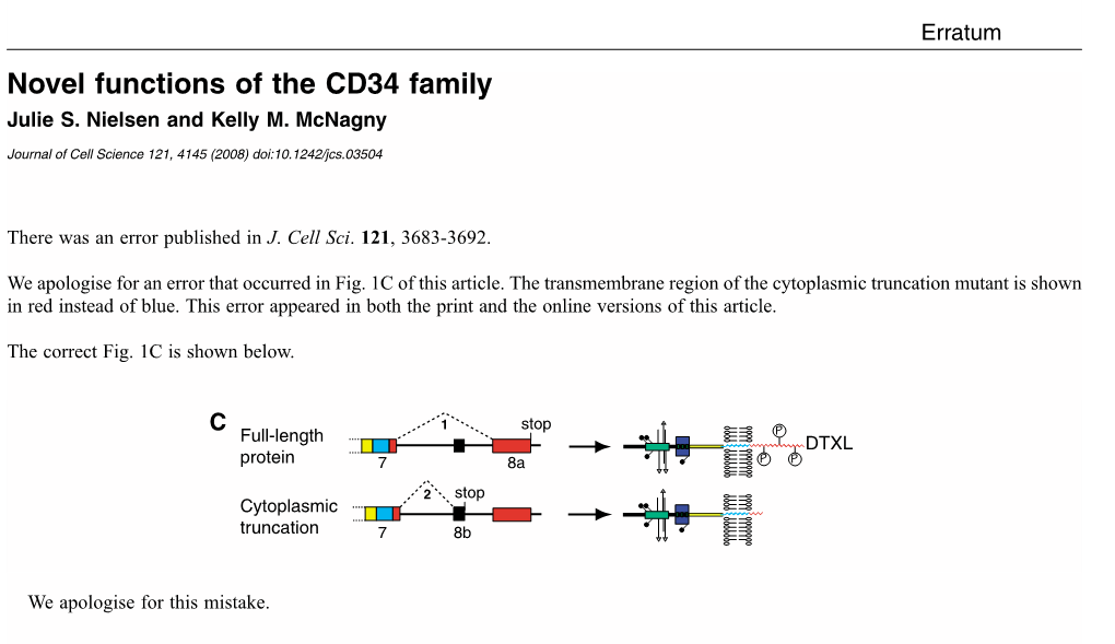 Novel Functions of the CD34 Family Julie S