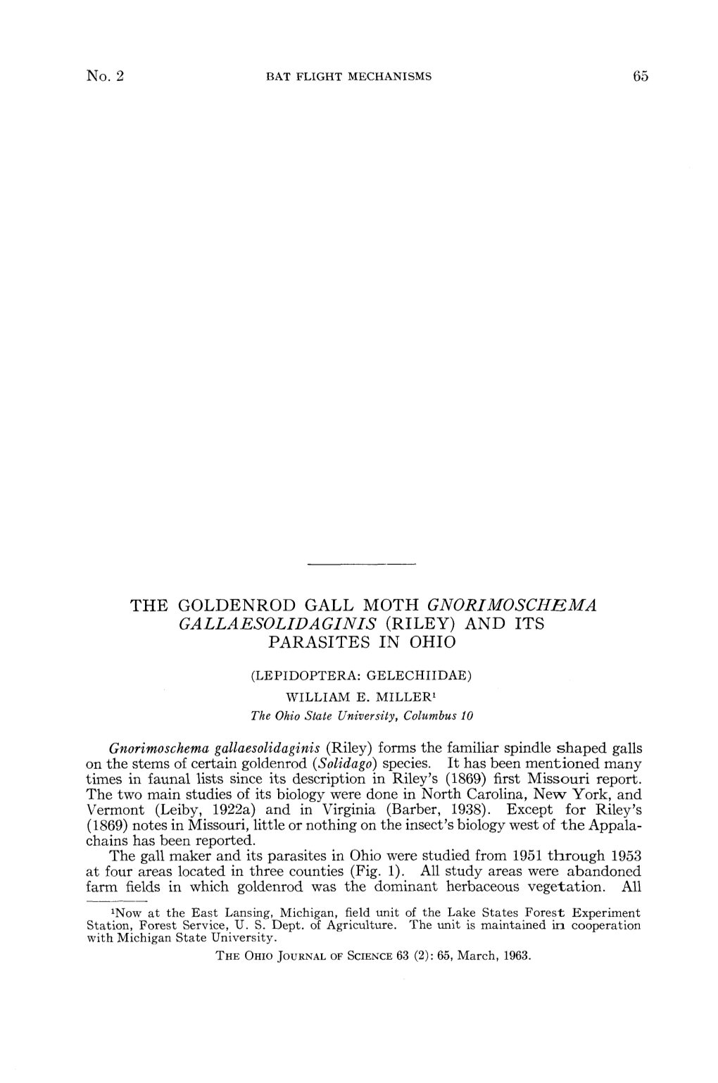 The Goldenrod Gall Moth Gnorimoschema Gallaesolidaginis (Riley) and Its Parasites in Ohio