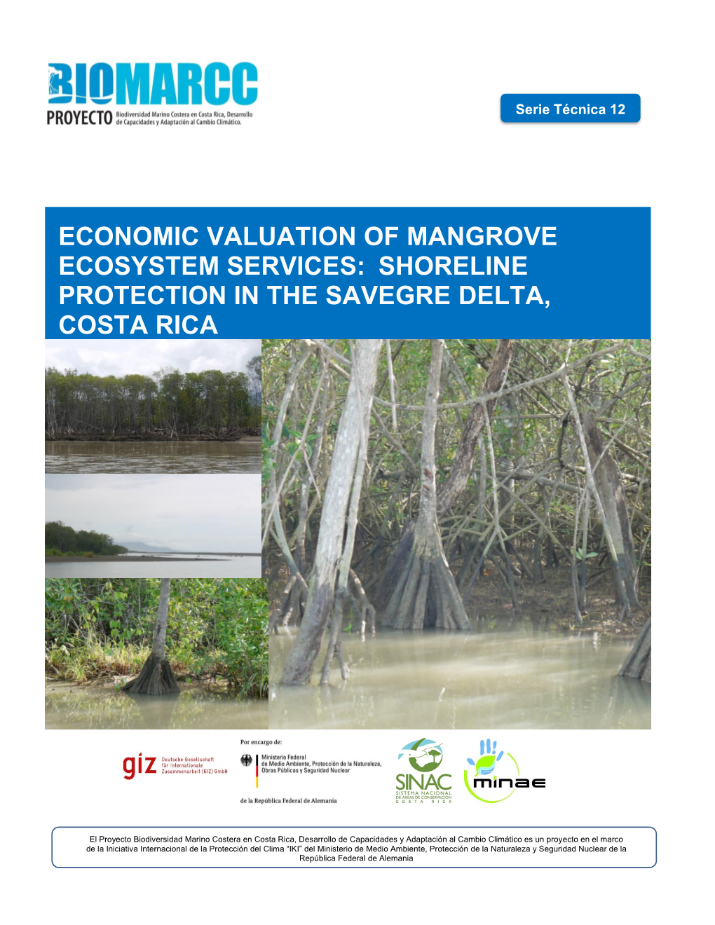 Shoreline Protection in the Savegre Delta, Costa Rica