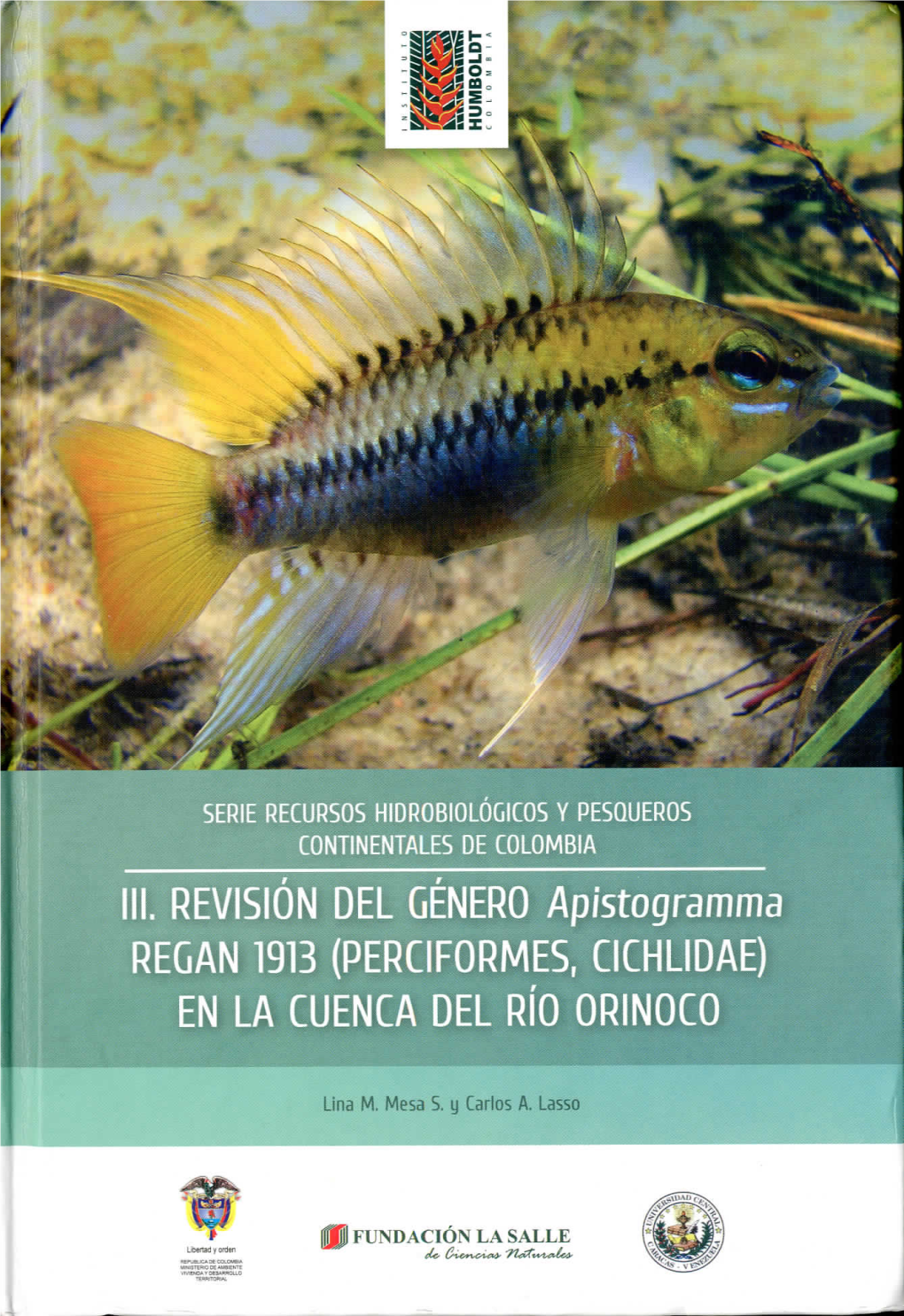 III. REVISIÓN DEL GENERO Apístogramma REGAN 1913 (PERCIFORMES, CICHLIDAE) EN LA CUENCA DEL RIO ORINOCO