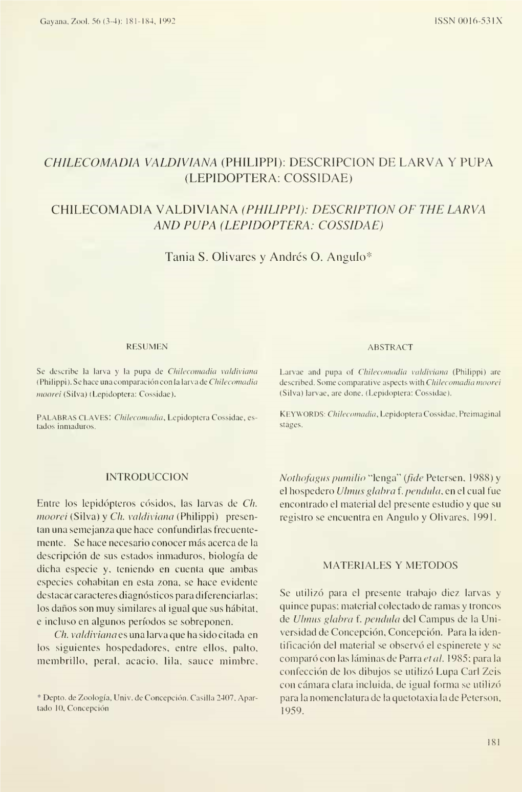Chilecomadia Valdiviana (Philippi): Description of the Larva and Pupa (Lepidoptera: Cossidae)