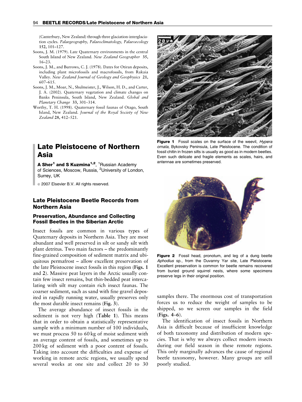 Late Pleistocene of Northern Asia