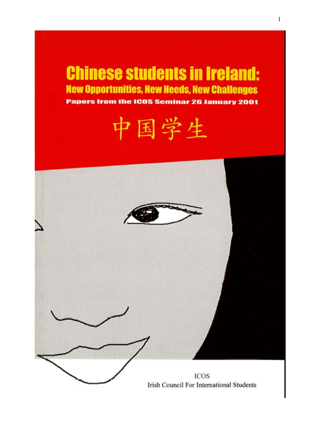 Chinese Students in Ireland: New Opportunities, New Needs, New Challenges