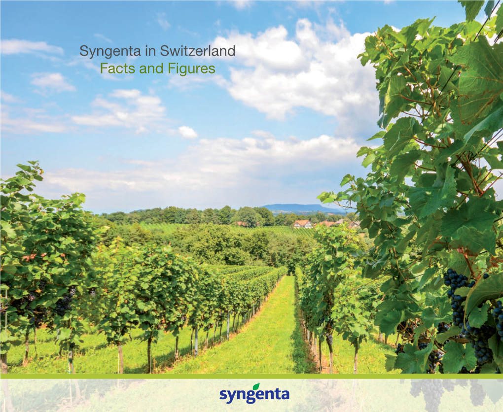 Syngenta in Switzerland Facts and Figures 2 Syngenta in Switzerland Syngenta in Switzerland 3 Contents Bringing Plant Our Key Numbers and Figures