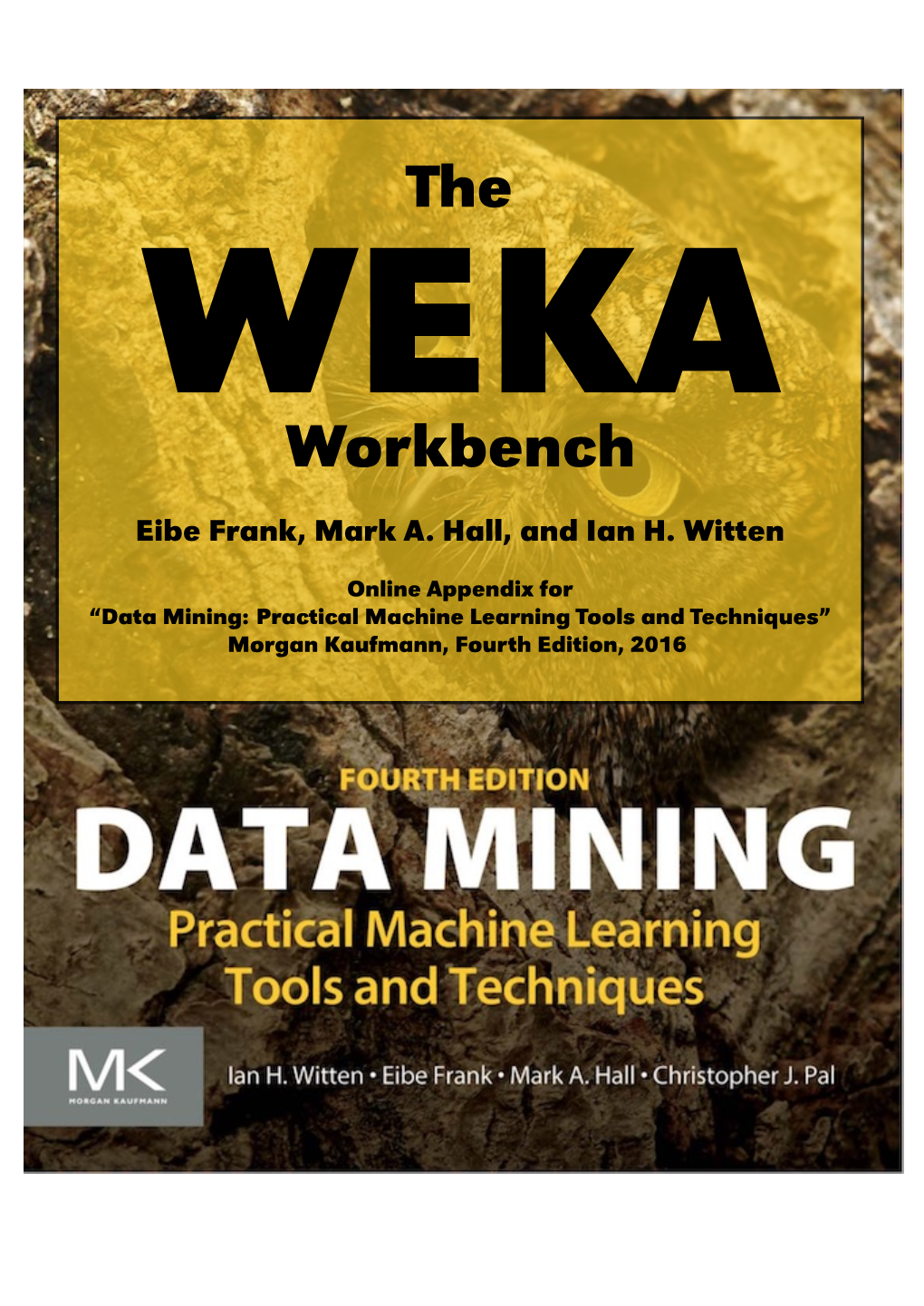 The WEKA Workbench