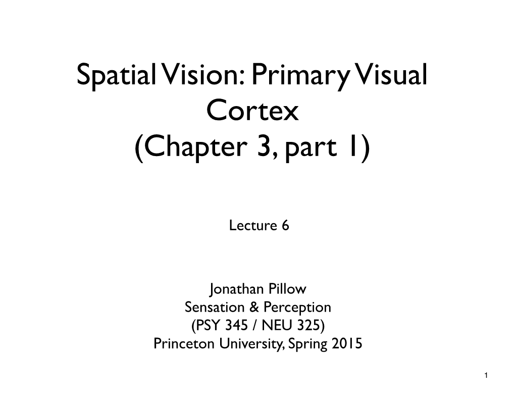 Spatial Vision: Primary Visual Cortex (Chapter 3, Part 1)